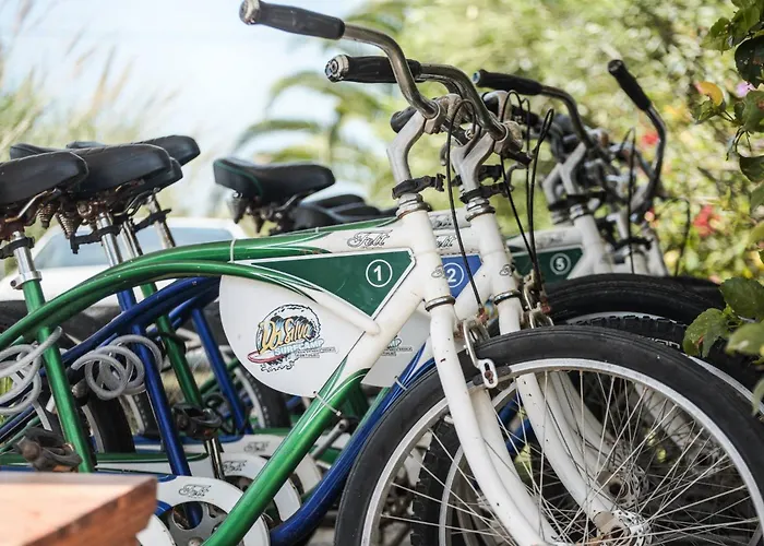 Daire Da Silva Surf Five