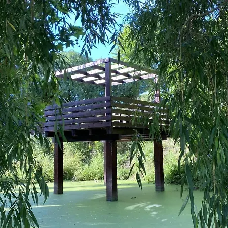 Da Silva Surf Five *